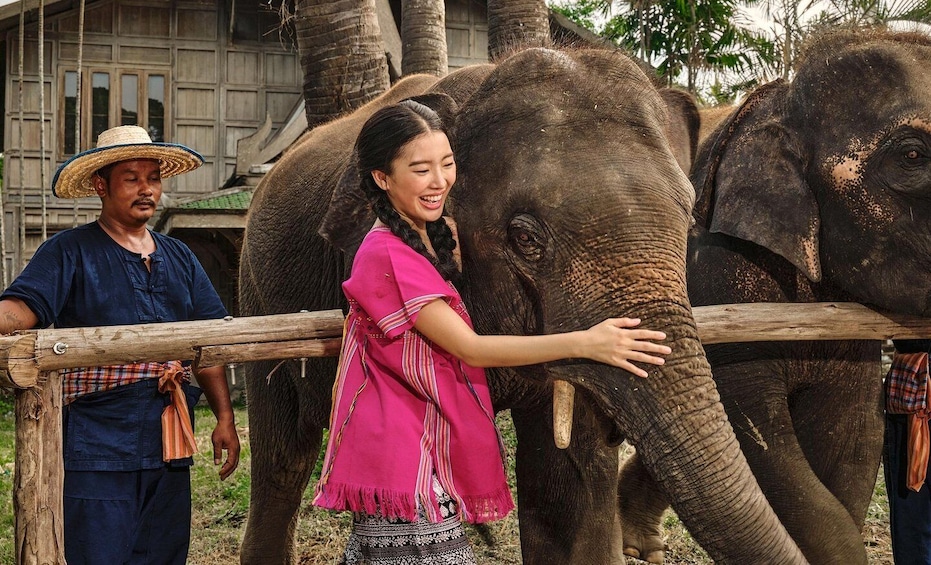 Picture 24 for Activity Bangkok Elephant Park: Half Day Elephant Interaction Tour