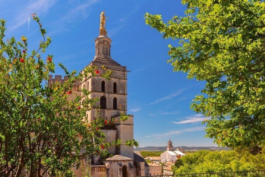 Explore Avignon in 60 minutes with a Local