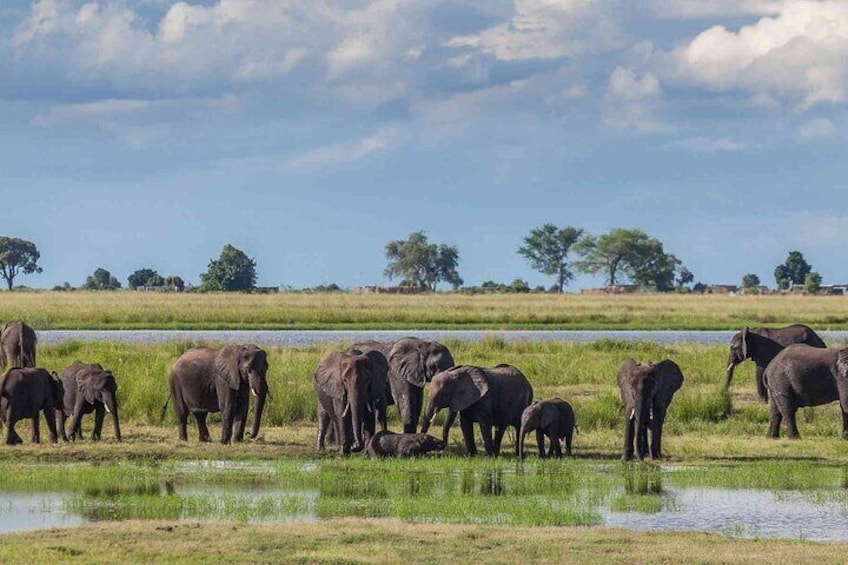 6 Days Group Multi Day Tour Masai Mara Lake Nakuru and Amboseli