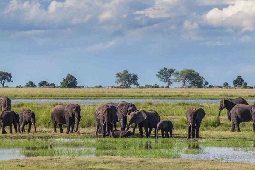 6 Days Group Multi Day Tour Masai Mara Lake Nakuru and Amboseli