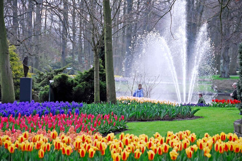 Picture 4 for Activity Brussels: Holland Keukenhof & Kinderdijk Guided Day Tour