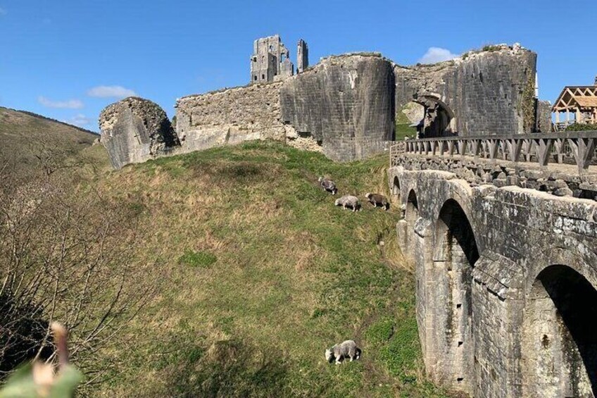 E Bike Excursions in Swanage Dorset