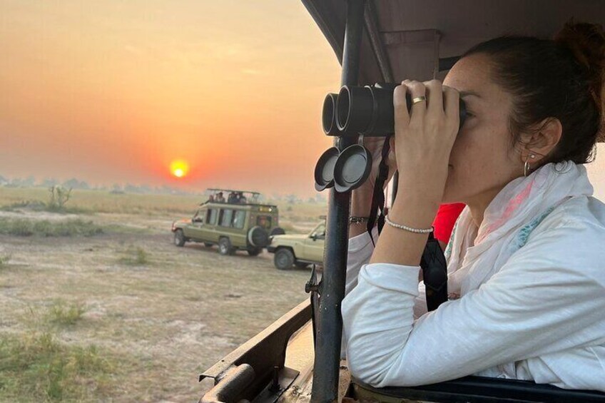 Our tourist experiencing the sunset viewing wildlife feeding in the park 