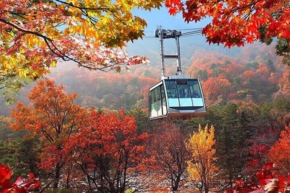 Autumn Foliage-Mt. Seorak, Sokcho Beach, Market, Observatory