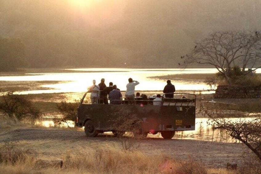 Canter Safari at Ranthambore