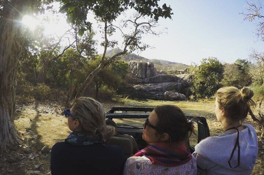 Ranthambore Safari in Jeep