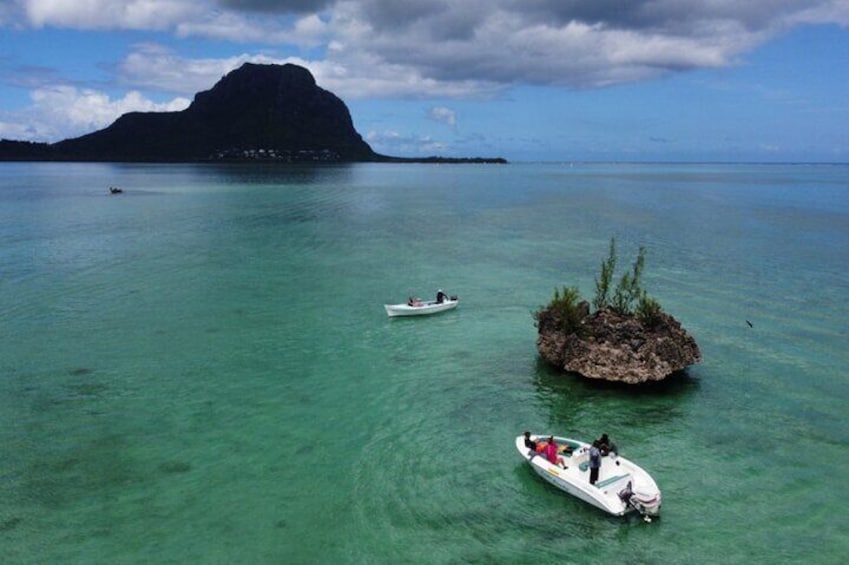 Dolphin paradise/ Le Havanah Boat