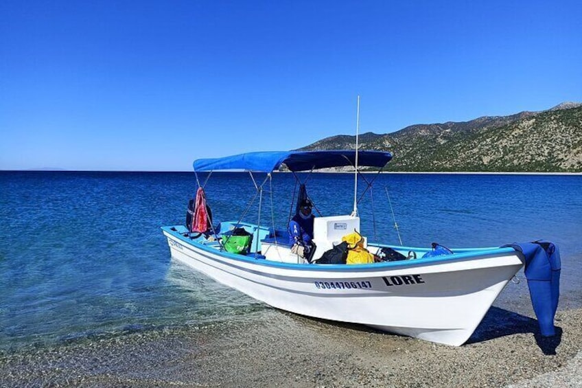 La Ventana Ocean Safari Private Activity