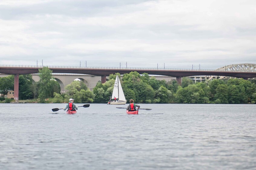 Stockholm: Chilled Out Social Kayaking with Instructors