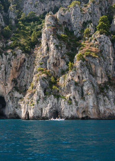 Picture 2 for Activity From Amalfi Coast Ports: Capri Transfer and Island Boat Tour