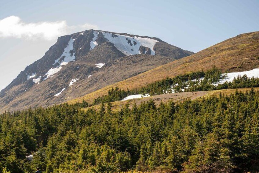 Flattop Mountain Guided Hike with Pickup