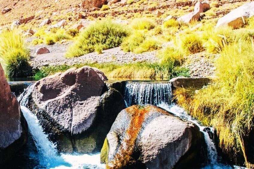 Tour to Know the Nature of Terma de Puritama