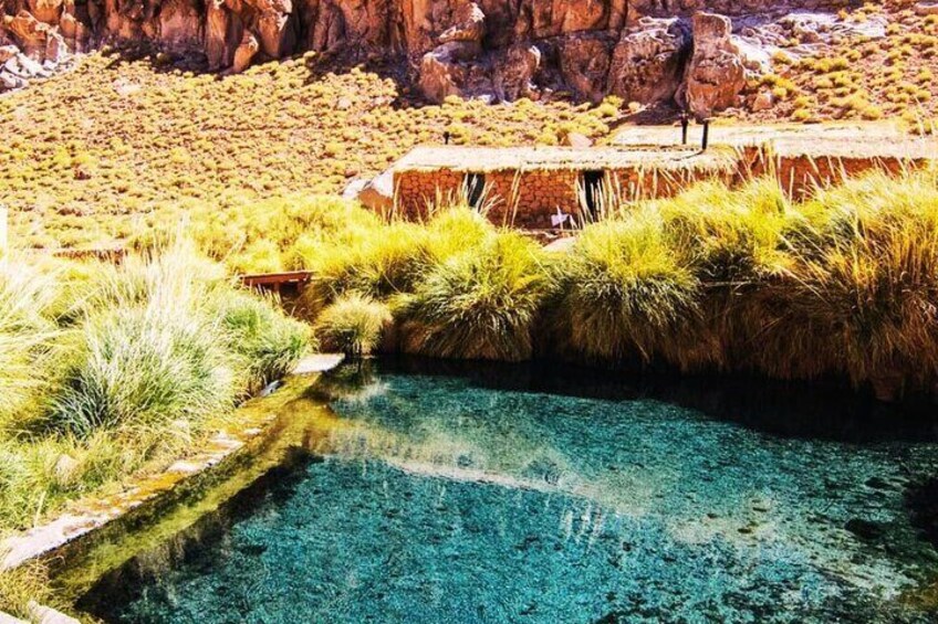 Tour to Know the Nature of Terma de Puritama