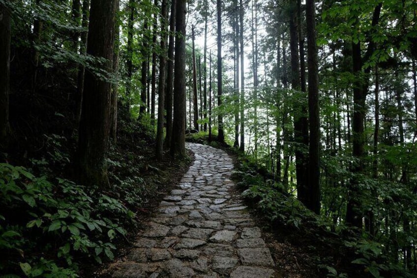 1 Day Tour from Nagoya Hiking the Historic Nakasendo Trail
