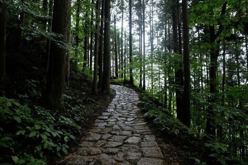 1 Day Tour from Nagoya Hiking the Historic Nakasendo Trail