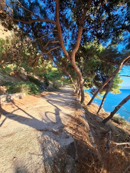 Picture 1 for Activity Laugh with Nafplio in Nature