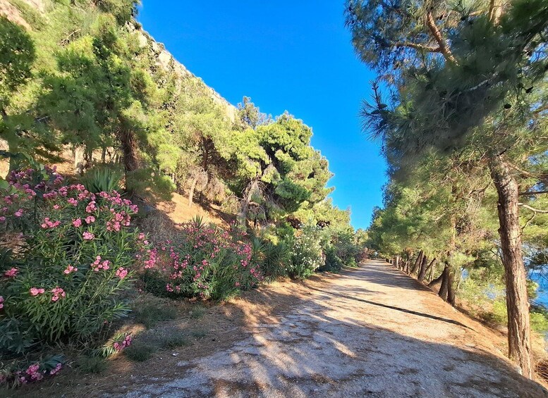 Picture 2 for Activity Laugh with Nafplio in Nature