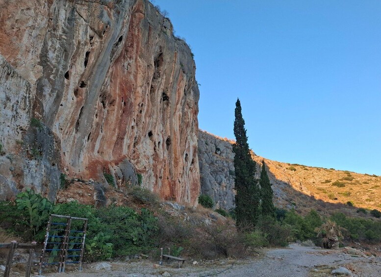 Picture 13 for Activity Laugh with Nafplio in Nature