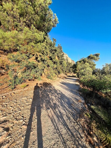 Picture 6 for Activity Laugh with Nafplio in Nature