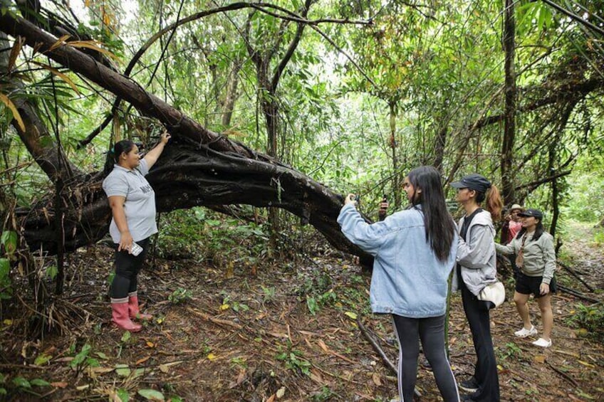 LEYTE-Mahagnao Lake Tanguile Trail and Forest Bathing