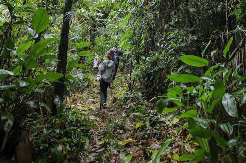 LEYTE-Mahagnao Lake Tanguile Trail and Forest Bathing