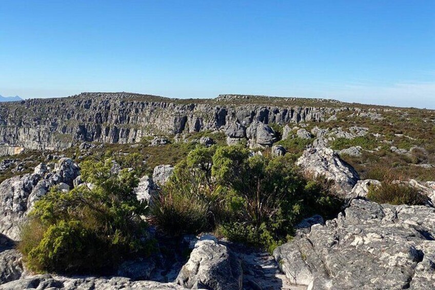 Table Mountain Tour including Pick Up & Drop Off from Cape Town