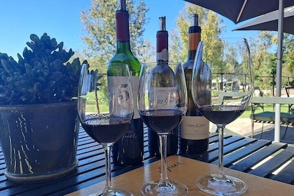 Franschhoek and Stellenbosch Wine Tasting Day Tour