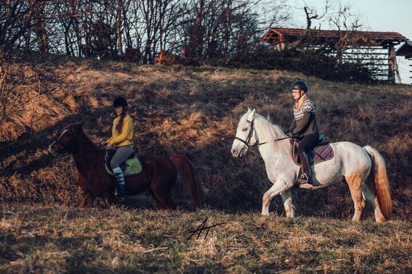 1-Hour Small-Group Horseback Riding Guided Activity from Ljubljana