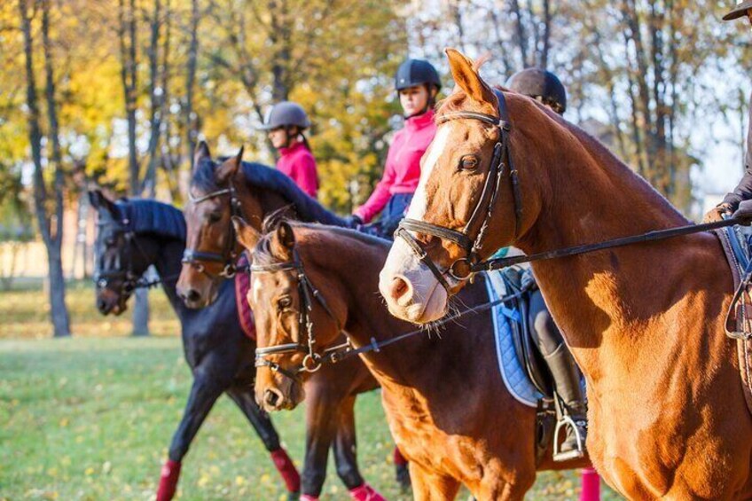 1-Hour Small-Group Horseback Riding Guided Activity from Ljubljana