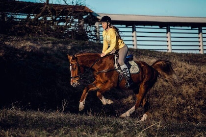 1-Hour Small-Group Horseback Riding Guided Activity from Ljubljana