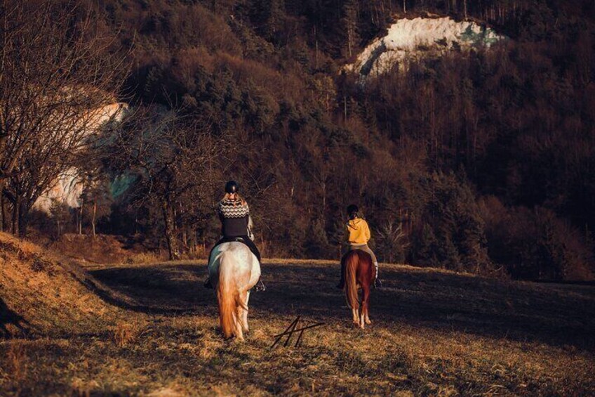 1-Hour Small-Group Horseback Riding Guided Activity from Ljubljana