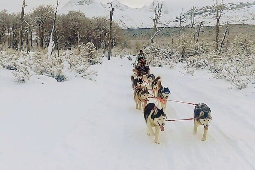 White Adventure in Ushuaia