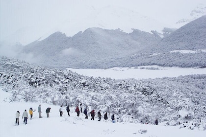 Sleigh and snowmobile experience in the Tierra Mayor Valley
