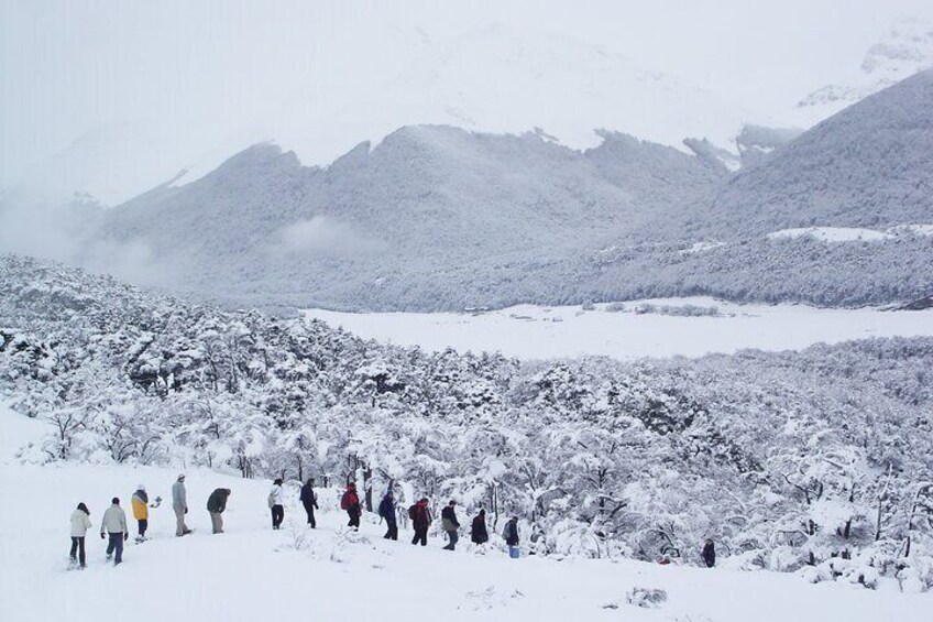 Sleigh and snowmobile experience in the Tierra Mayor Valley