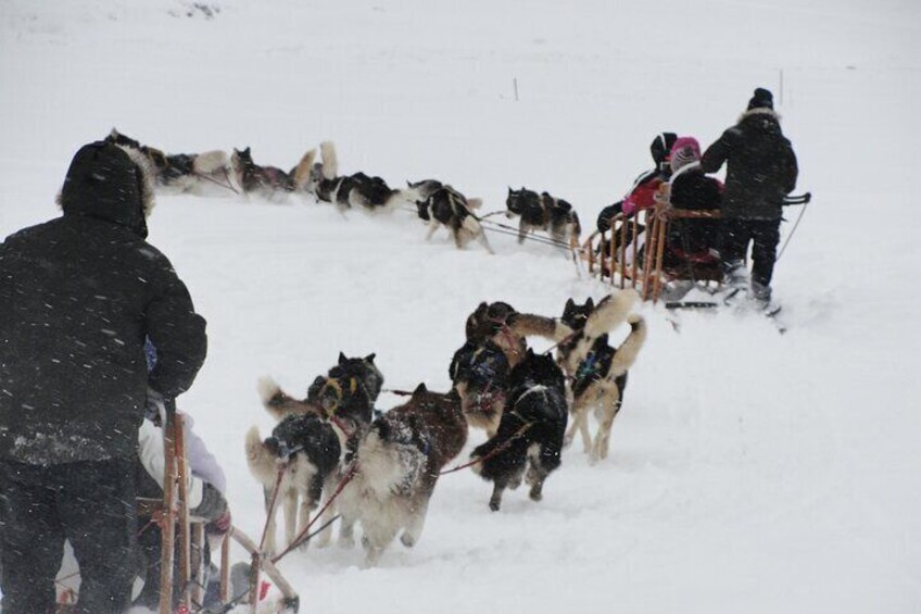 Sleigh and snowmobile experience in the Tierra Mayor Valley
