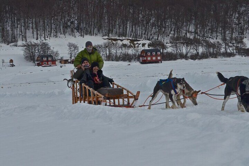 Sleigh and snowmobile experience in the Tierra Mayor Valley