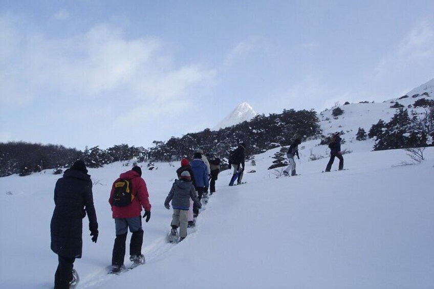 Sleigh and snowmobile experience in the Tierra Mayor Valley