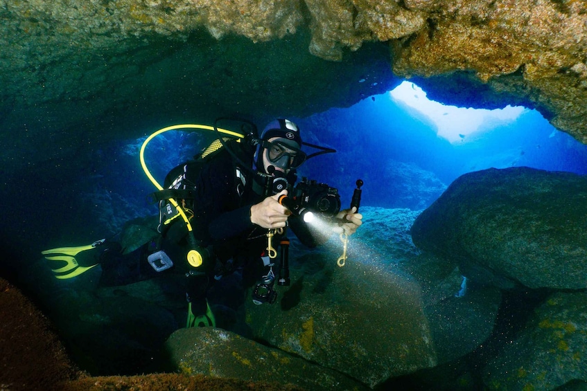 Picture 4 for Activity Funchal: Garajau national park - certified divers