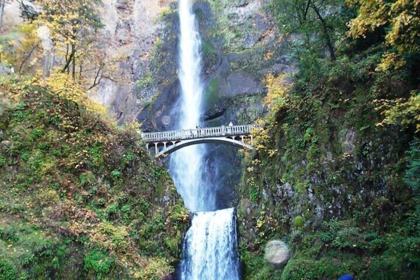 Mt Hood & Columbia River Private tour from Portland