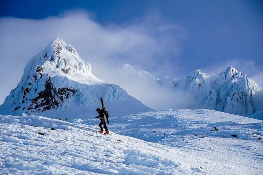 Mt Hood & Columbia River Private tour from Portland