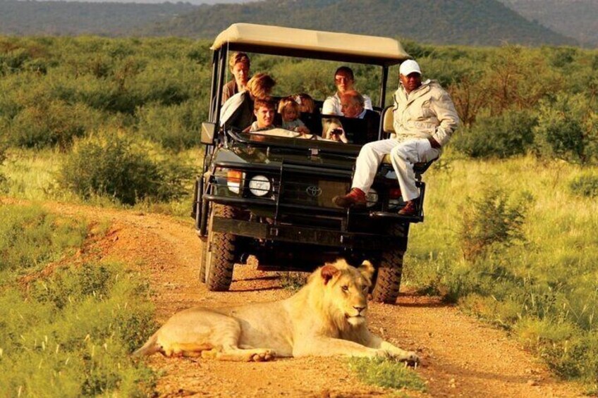 Half Day Hluhluwe Imfolozi Game Reserve from Richards Bay Safari