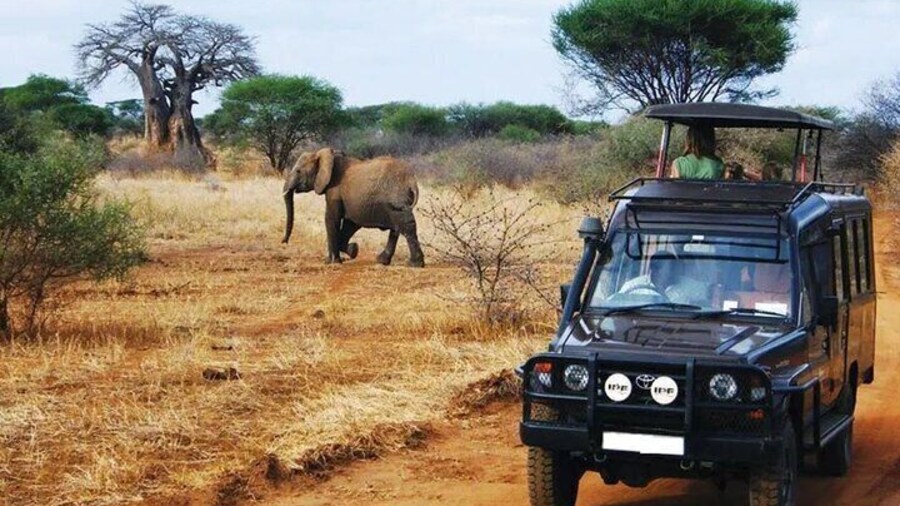 Half Day Hluhluwe Imfolozi Game Reserve from Richards Bay Safari