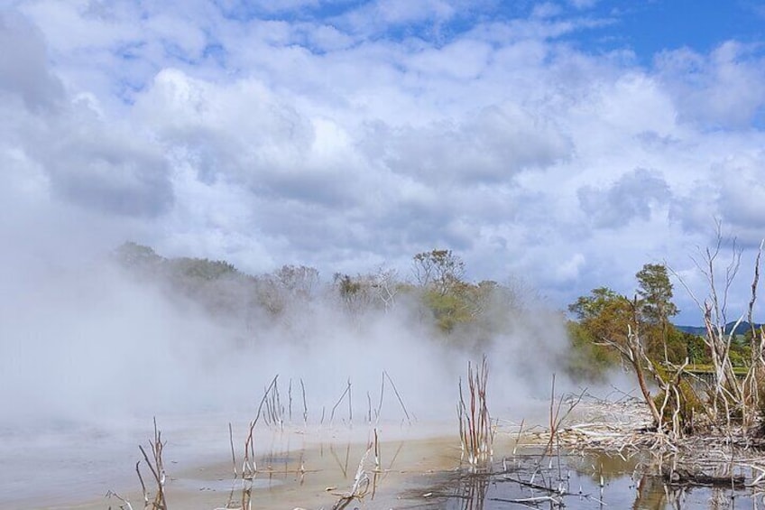 Rotorua Thermal Park