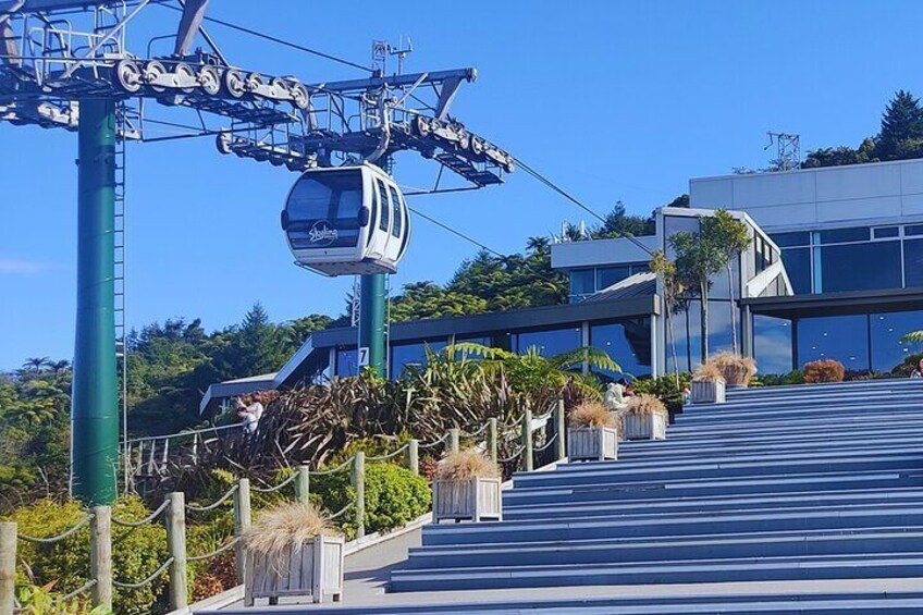 Skyline Gondola