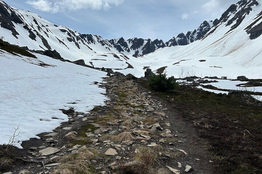 Mount Marathon Bowl / Race Summit with Seward Guided Hikes