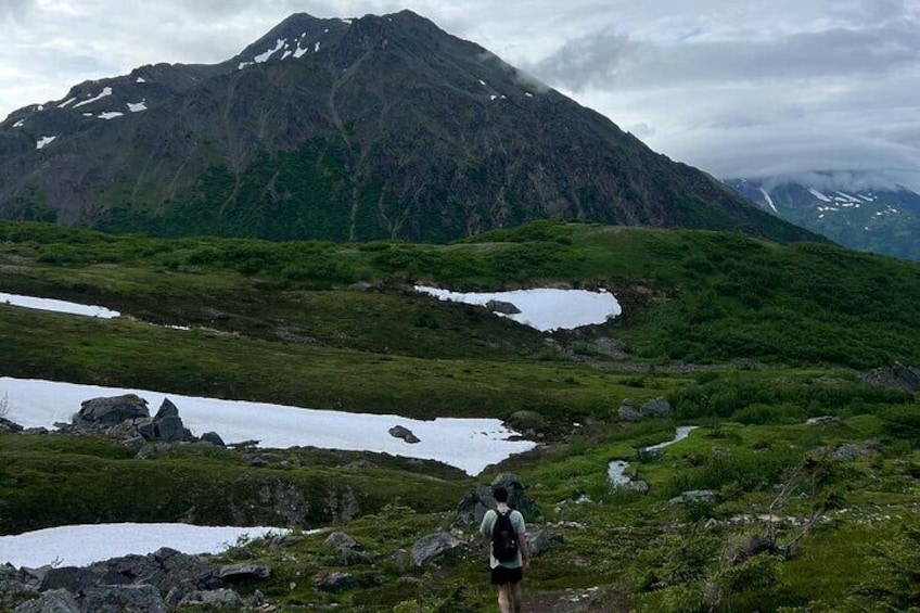 Mount Marathon Bowl / Race Summit with Seward Guided Hikes