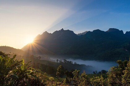 1 Day Chiang Dao Chill & Trekking in Private with Hot Springs