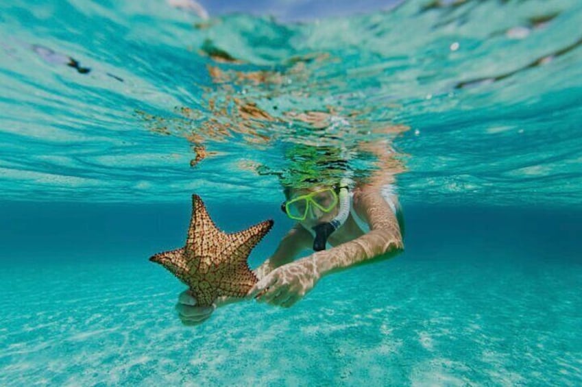Snorkeling is a must-do in Roatán!