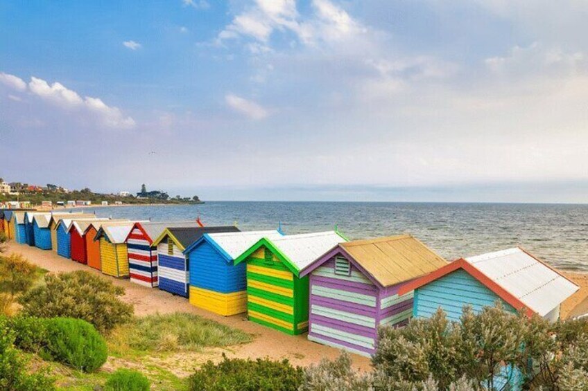 Brighton Bathing Box and Phillip Island Day Tour in Melbourne 