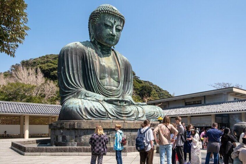 The Great Kamakura Buddha will impressed you by its majesty and his handsomeness!